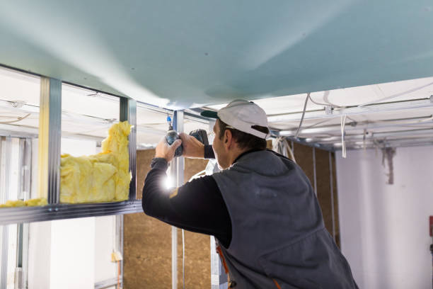 Best Insulation Installation Services in Muse, PA